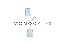 MONOCYTES