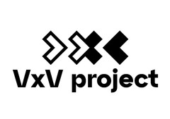 VxV project