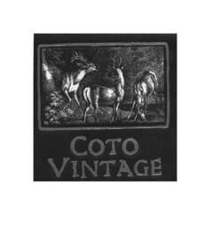 COTO VINTAGE