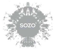SOZO1