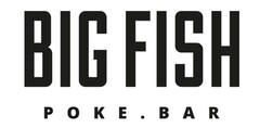 BIG FISH POKE . BAR