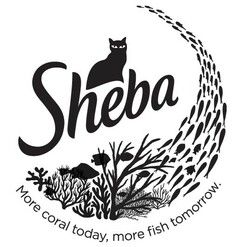 SHEBA More coral today, more fish tomorrow