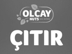 OLCAY NUTS 100% NATURAL ÇİTIR