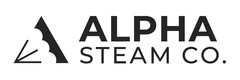 ALPHA STEAM CO .