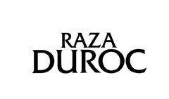 RAZA DUROC