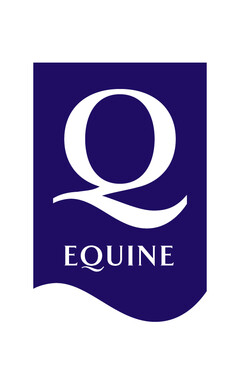 Q EQUINE