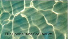 Blue Oceans Brand Sea Products