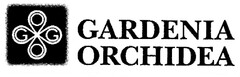 GARDENIA ORCHIDEA