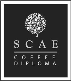 SCAE COFFEE DIPLOMA