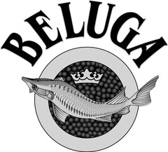 BELUGA