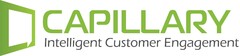 CAPILLARY Intelligent Customer Engagement