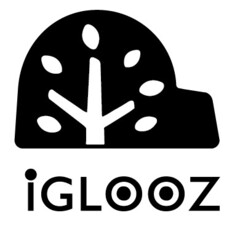 iGLOOZ