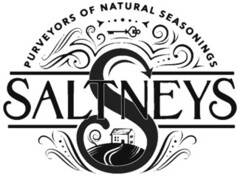 PURVEYORS OF NATURAL SEASONINGS SALTNEYS