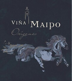 VIÑA MAIPO ORÍGENES