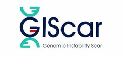 GIScar Genomic Instability Scar