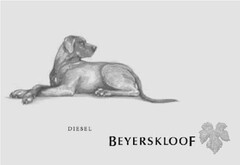 DIESEL BEYERSKLOOF