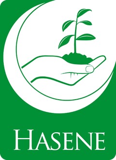 Hasene