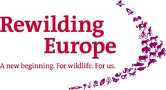Rewilding Europe A new beginning. For wildlife. For us.