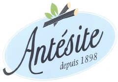 ANTESITE DEPUIS 1898
