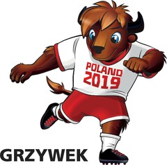 POLAND 2019 GRZYWEK