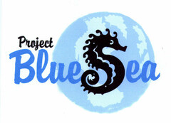 Project Blue Sea