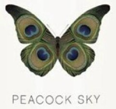 PEACOCK SKY