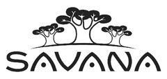 savana