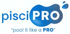 pisci PRO "pool it like a PRO"