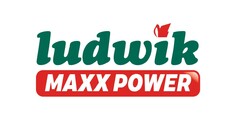 ludwik MAXX POWER