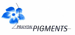 PRAYON PIGMENTS