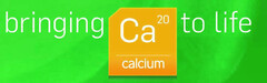 bringing Ca20 calcium to life