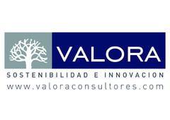 VALORA SOSTENIBILIDAD E INNOVACION www.valoraconsultores.com
