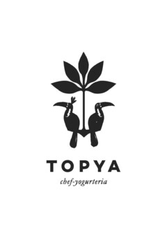 TOPYA CHEF-YOGURTERIA