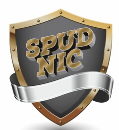 SPUD NIC