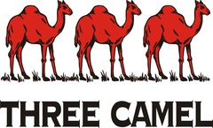 THREE CAMEL