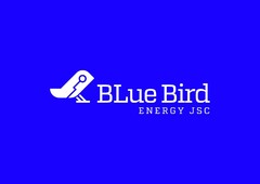 Blue Bird ENERGY JSC