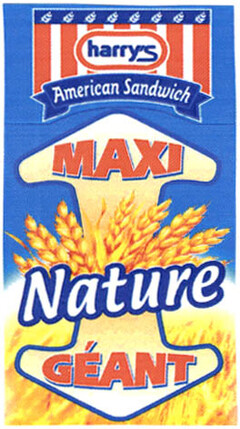 harry's American Sandwich MAXI Nature GÉANT