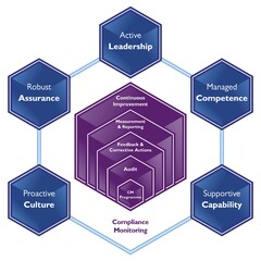 Active Leadership Managed Competence Supportive Capability Proactive Culture Robust Assurance Continuous Improvement Measurement & Reporting Feedback & Corrective Actions Audit CM Programme Compliance Monitoring