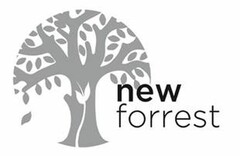 NEW FORREST