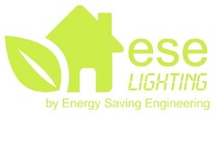 ESE LIGHTING BY ENERGY SAVING ENGINEERING