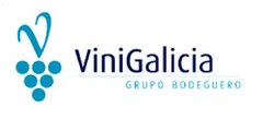 V VINIGALICIA GRUPO BODEGUERO