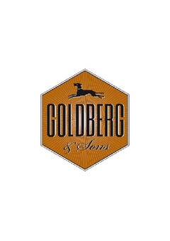 GOLDBERG & SONS