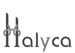 Halyca