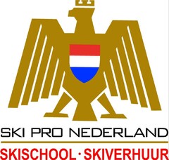 SKI PRO NEDERLAND   SKISCHOOL SKIVERHUUR