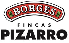 BORGES FINCAS PIZARRO