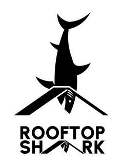 ROOFTOP SHARK