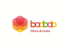 BAOBAB CITRUS & FRUITS