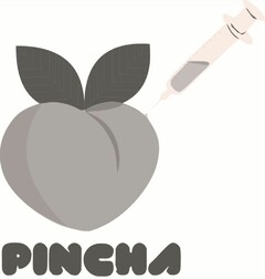 PINCHA