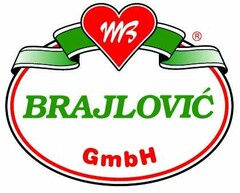 MB BRAJLOVIĆ GmbH