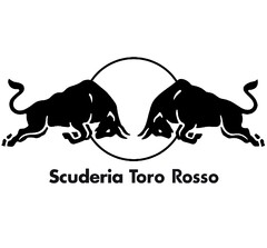 Scuderia Toro Rosso